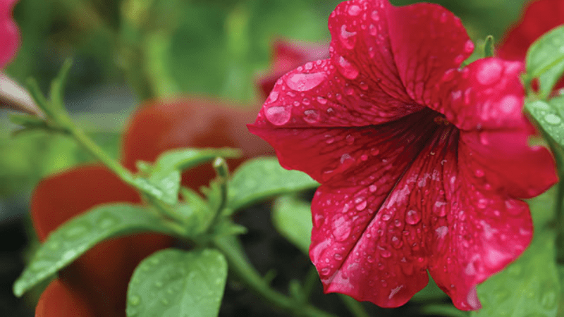 Maintaining water quality