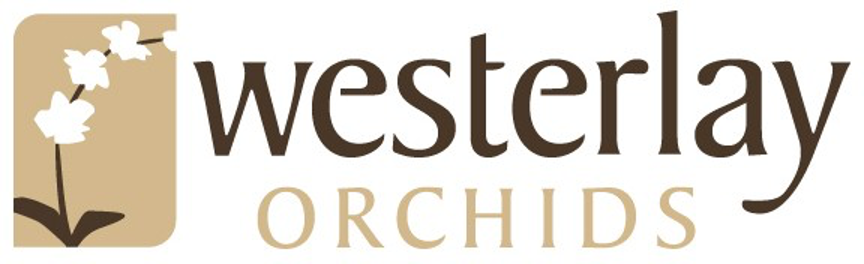 Grower, retailer partnership supports breast cancer resource centers with orchid sales