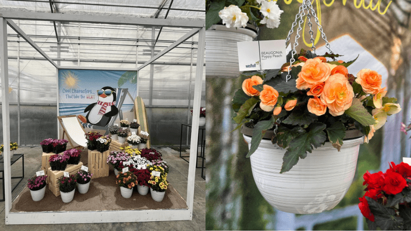 Virtual walking tour of Westhoff at CAST 2024