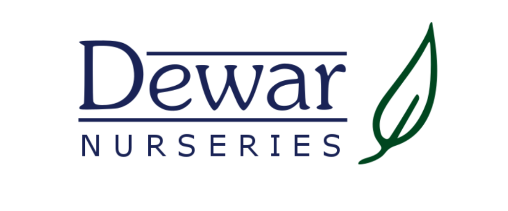 AFE Adds New Scholarship