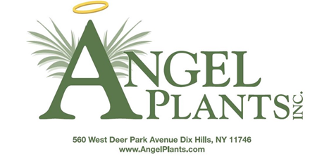 Columbus to Host Short Course Through 2018