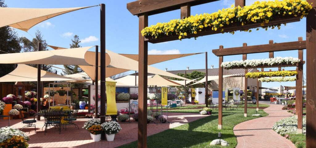 Ball Cancels CAST, Updates Mobile App