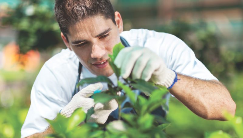 Gaining Insight into the Gardener’s Mind