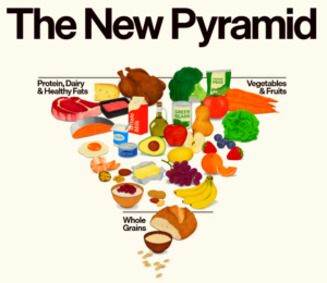 A graphic of a food pyramid