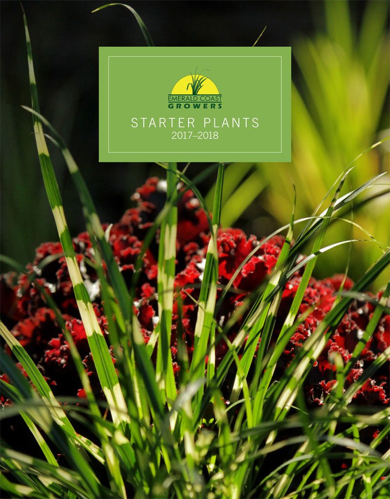 Emerald Coast Growers Releases Resource Guide