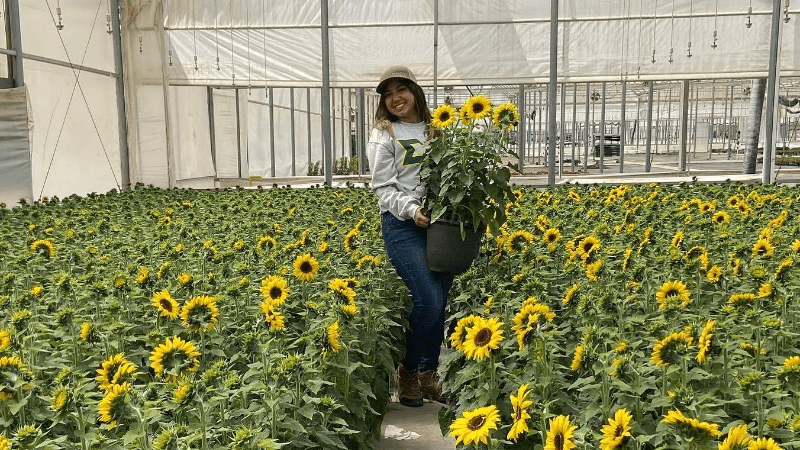 Management — Research, education and employer resources