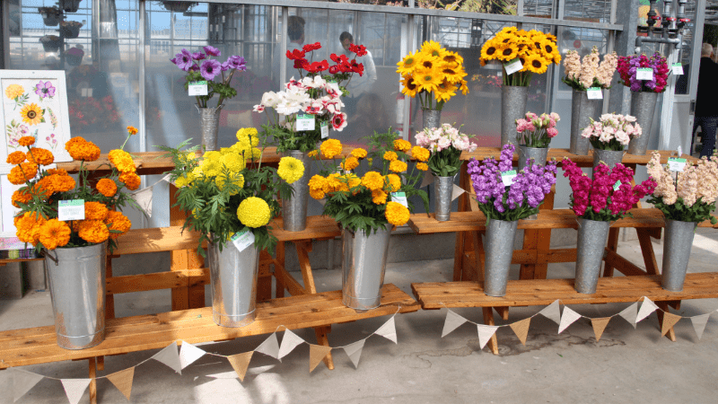 Taking on trends at CAST 2023