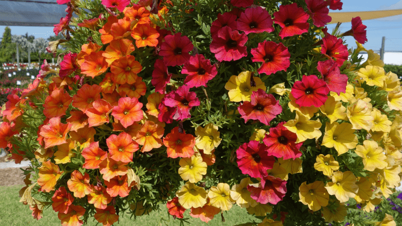 Vaughn’s View: Bountiful and durable recipe combinations – Part 1