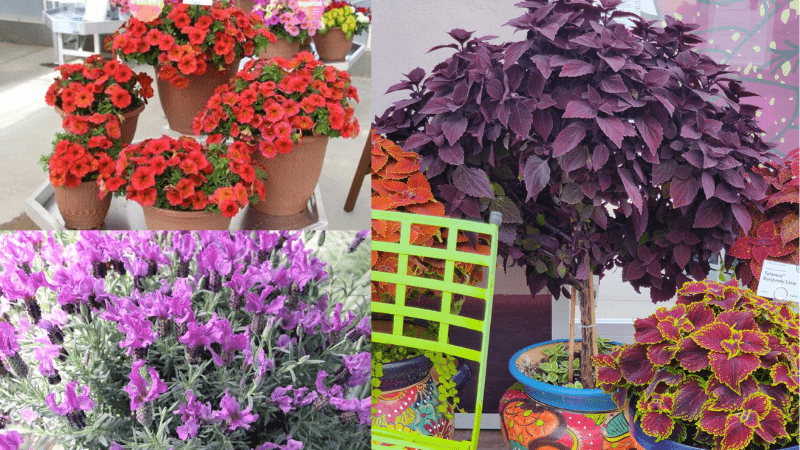 Finding the favorites at CAST 2023