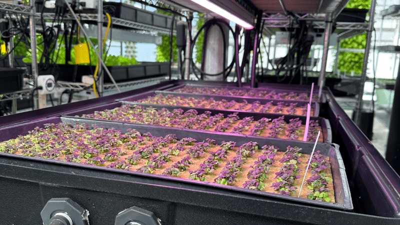 Indoor Ag-Con announces keynote line up