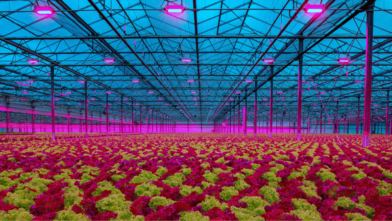 Trend report from Indoor Ag-Con