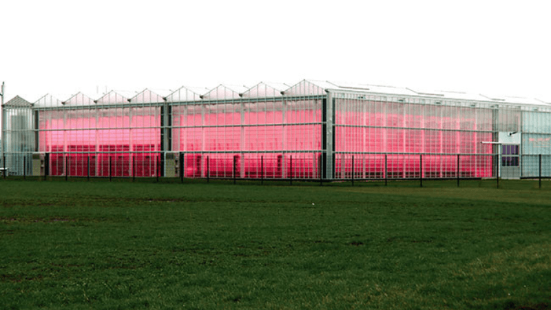 Unlock your lighting potential