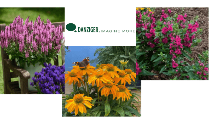 Experience Danziger varieties at CAST