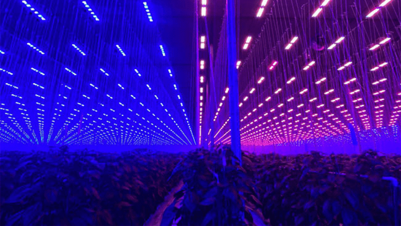 Keeping up with technology