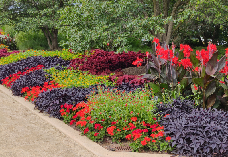 Ball Seed Customer Days 2025 visit recap