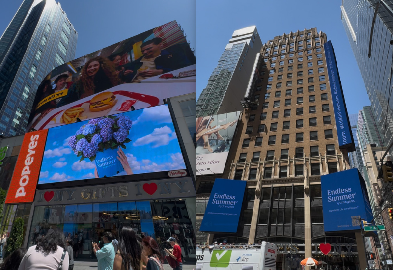 Hydrangea and shrub brands launch NYC billboard campaign