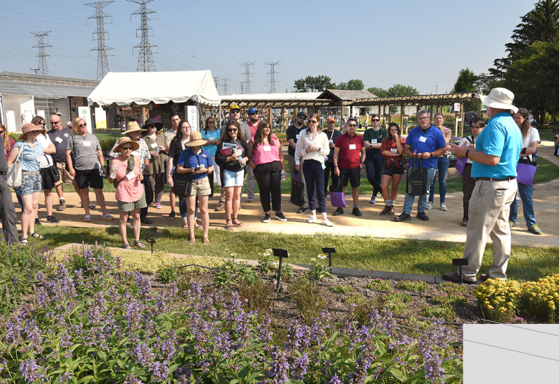 Save the date for Darwin Perennials Day this June