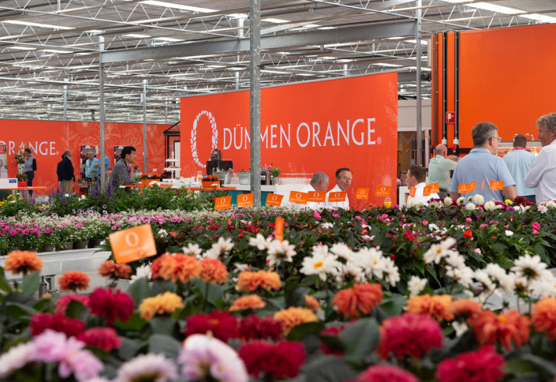 Dümmen Orange to host 2025 FlowerTrials onsite