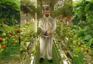 image of GPN's Forty under 40 winner Class of 2025 Evgeny Gubin in a plant growth chamber