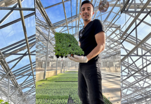 image of GPN's Forty under 40 winner Class of 2025: Marco Zilli holding a tray of small plants in a greenhouse.