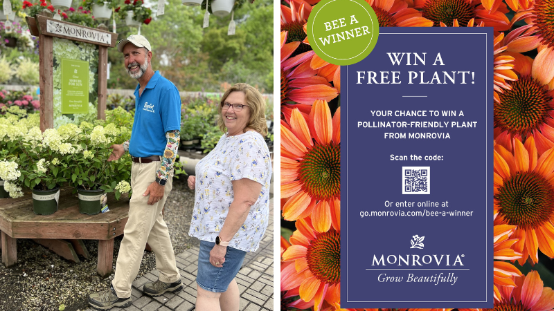Michigan gardener wins Monrovia Bee a Winner giveaway
