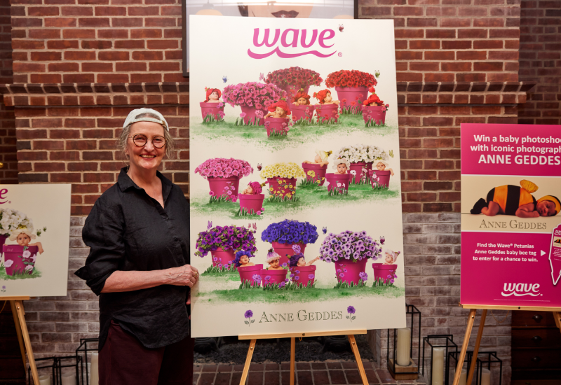 Wave petunias marks 30 years with new collaboration