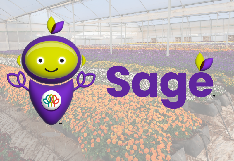 AmericanHort launches AI tool to support growers