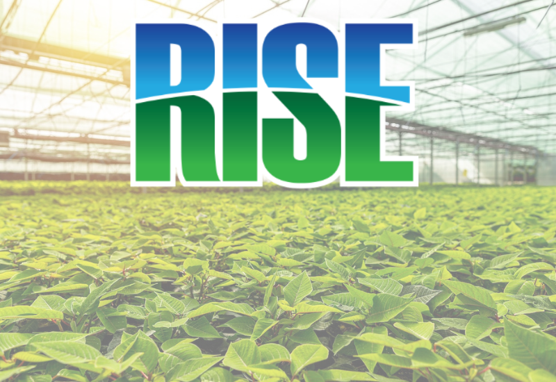RISE urged unified advocacy at Cultivate’25