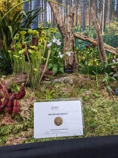 Humboldt Botanical Garden orchids awarded medal