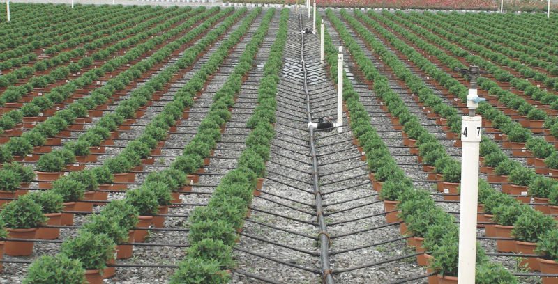 Implementing Efficient Irrigation