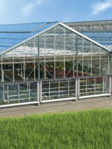 exterior view of a glass greenhouse