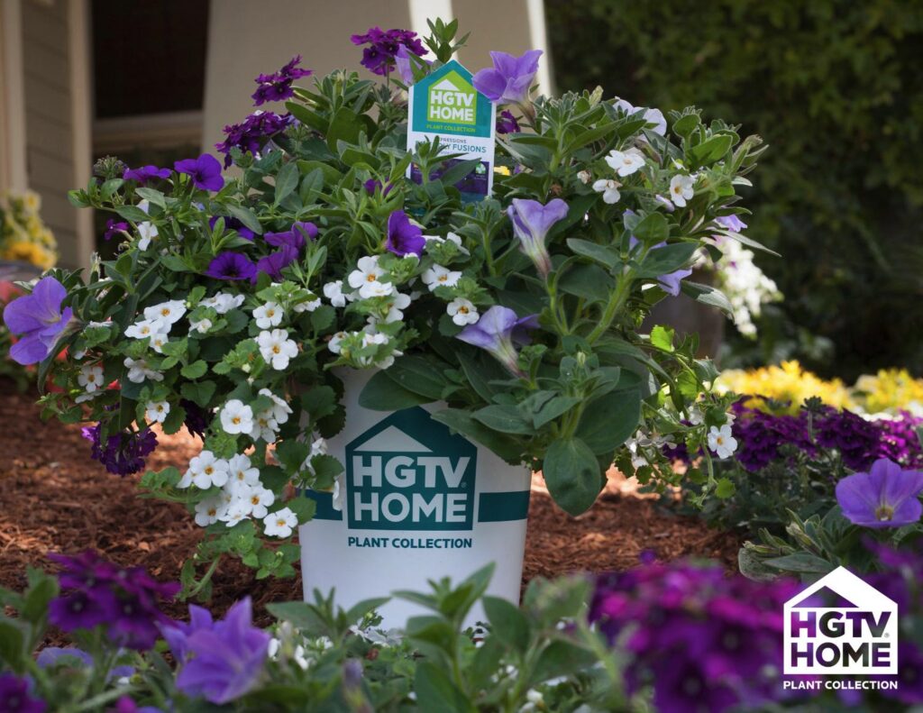 HGTV Home Plant Collection Premiers at California Spring Trials