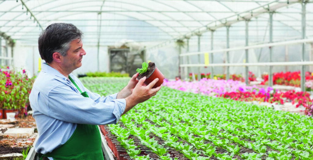 Using a PGR to Rescue Plants from a PGR