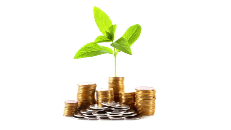 Investing in your plant health