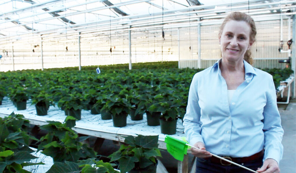 BASF UK Facility Expands to Increase Beneficials Production