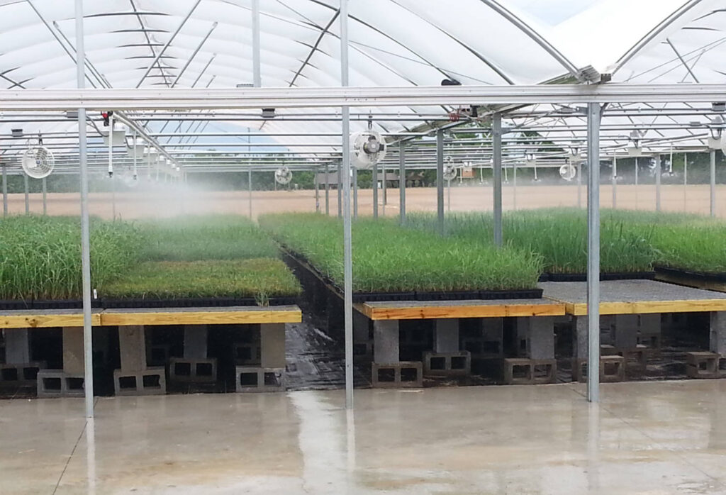Emerald Coast Growers Adds Greenhouse Space