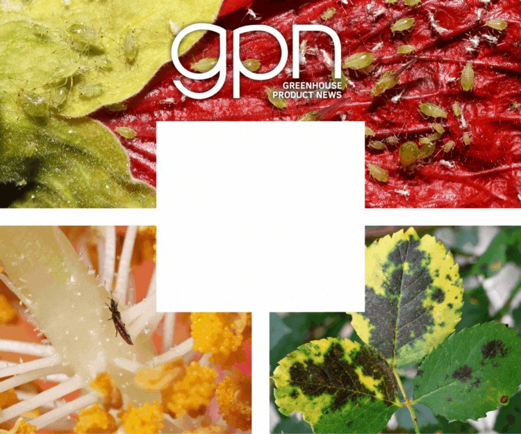 GPN’s Annual Pest and Disease Survey needs your input