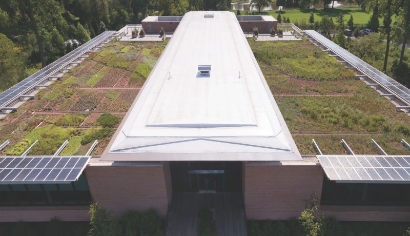 Emergence of Rooftop Production