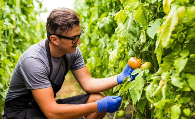 Cultivating Worker Safety