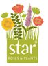 Star Roses and Plants Launches New Kordes Website