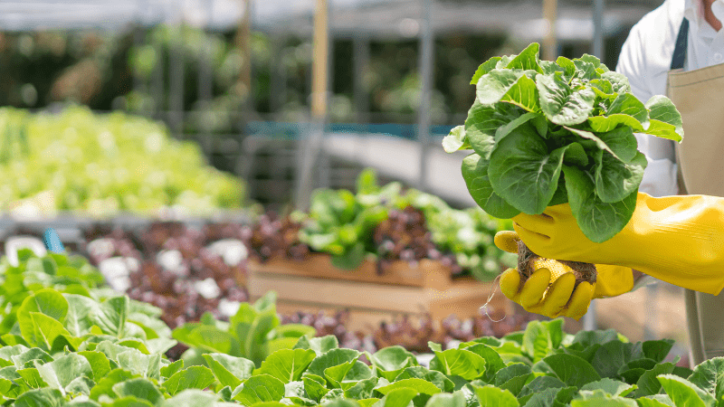 Proposed $60B addition to farm bill ag programs faces rocky road