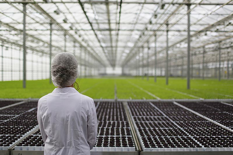 UF online greenhouse training courses start in July