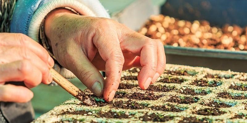 Environmental Horticulture Research at UC Davis