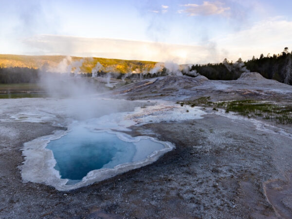 Donor support helps to fund important projects and ensure the future of Yellowstone National Park for generations to come. Photo courtesy of Dümmen Orange.