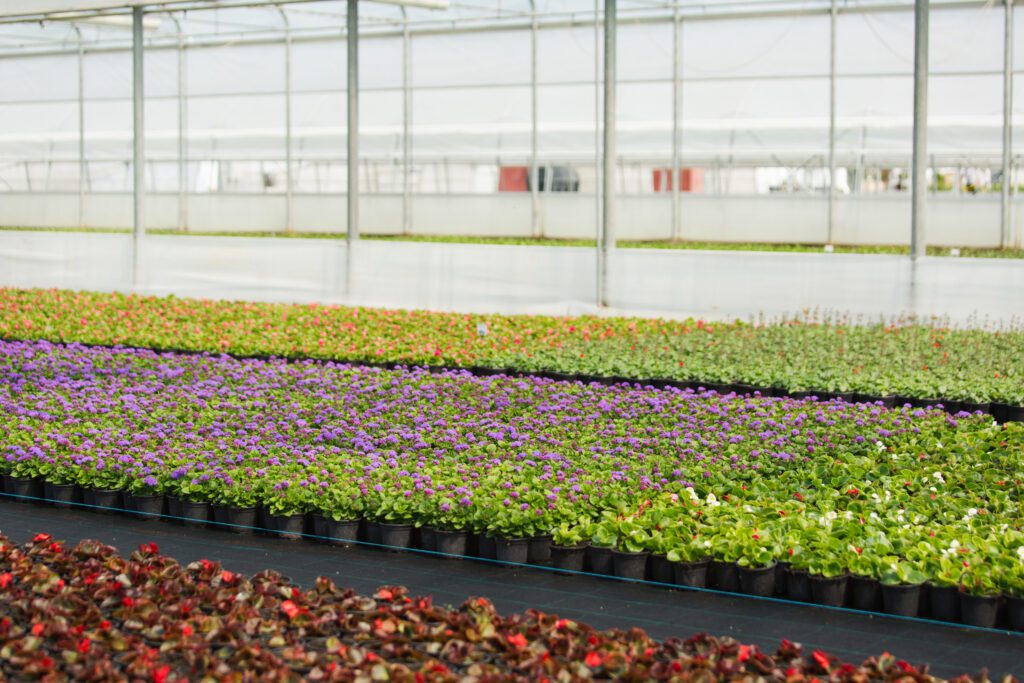 USDA census reports $18.3 billion horticulture industry growth