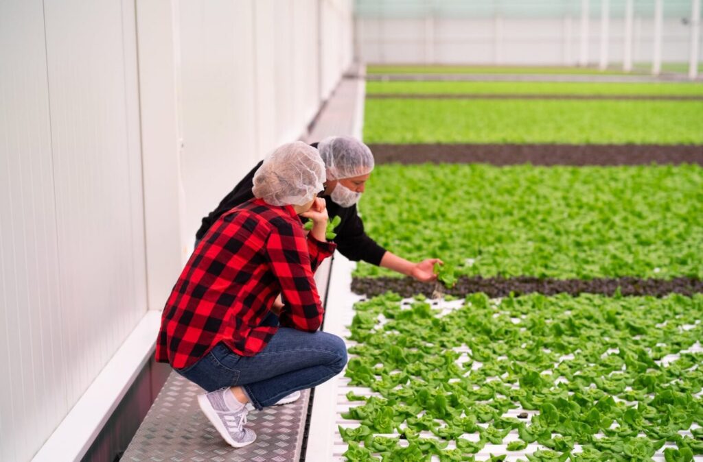 Traceability, food safety and the future of substrates