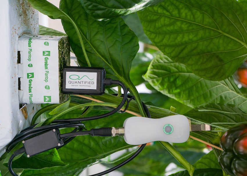 Biome Delta forms distribution partnership with Quantified Sensor Technology