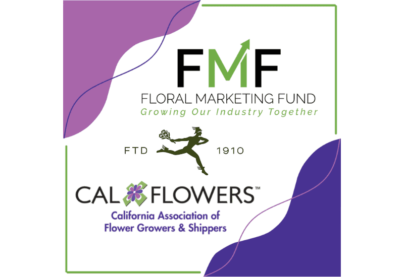 Study reveals Gen Z buying trends for flowers