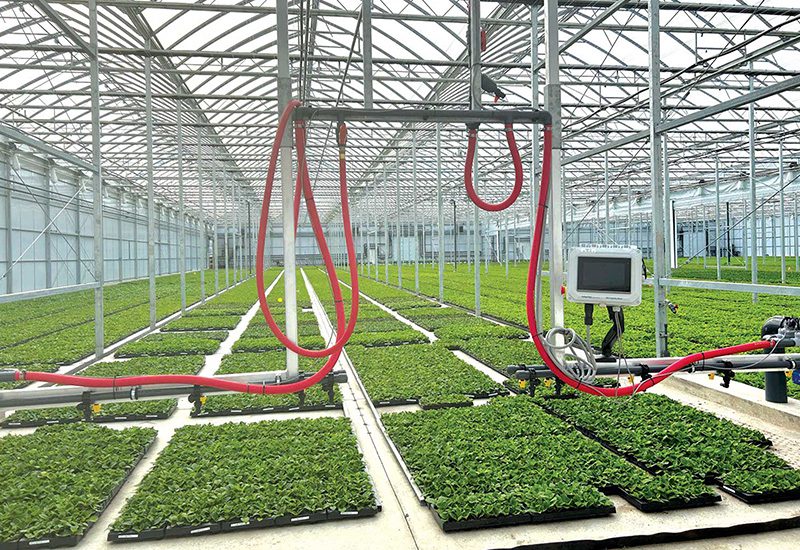 Greenhouse inventory management: It’s a numbers game