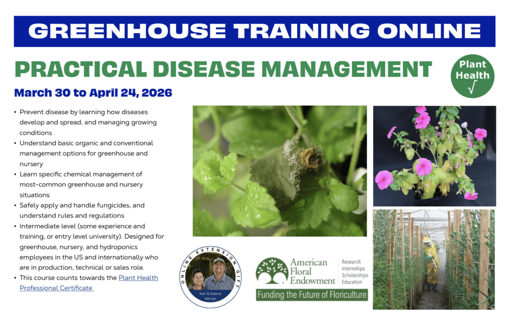 Screenshot of educational information flyer